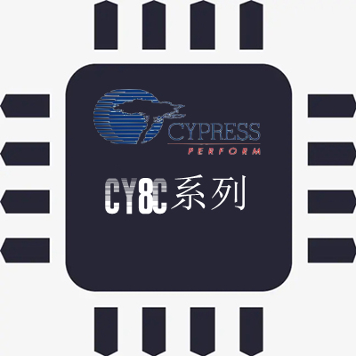 CY8C芯片解密反汇编改软加密功能修改型号鉴定